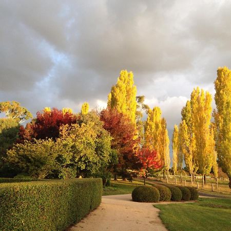 Glen Waverly Farmstay Glen Innes Luaran gambar