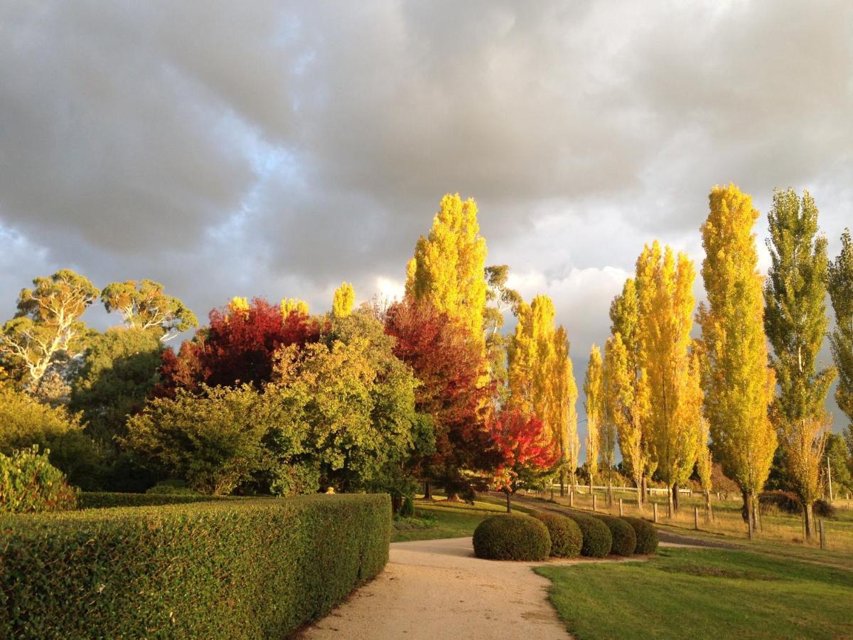 Glen Waverly Farmstay Glen Innes Luaran gambar