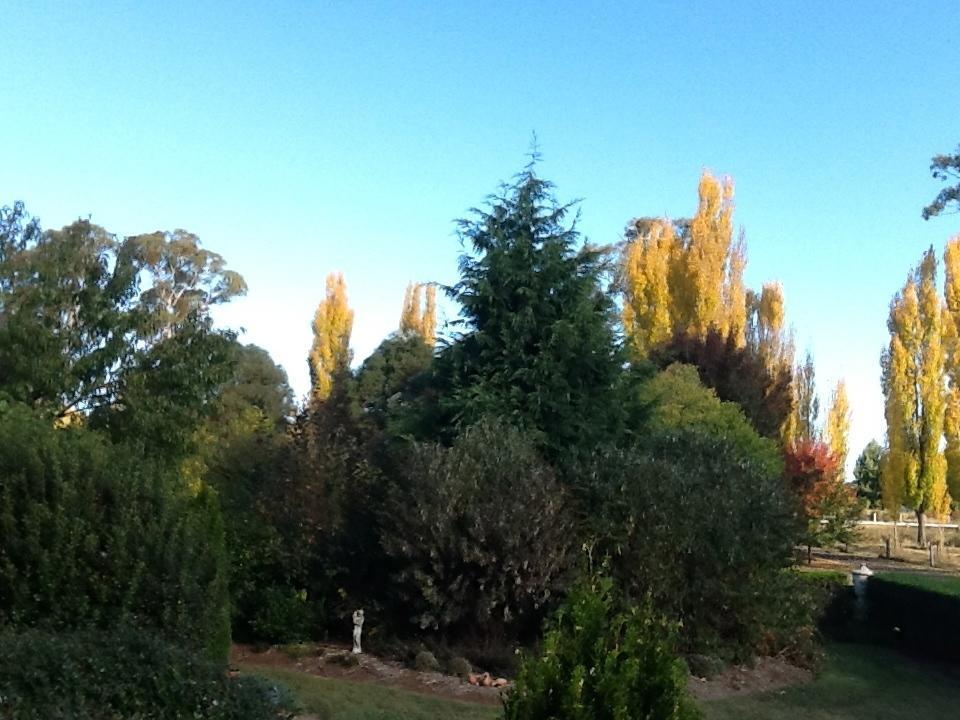 Glen Waverly Farmstay Glen Innes Bilik gambar