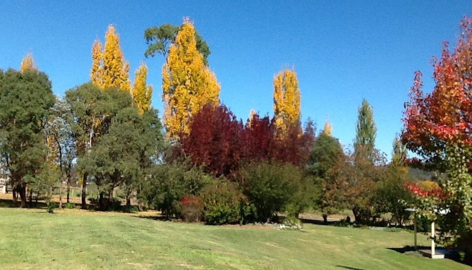 Glen Waverly Farmstay Glen Innes Bilik gambar