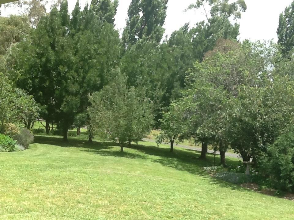 Glen Waverly Farmstay Glen Innes Bilik gambar
