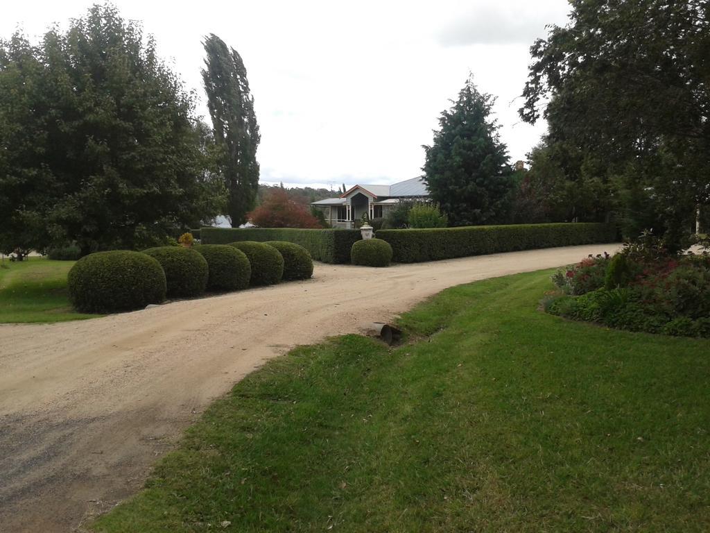 Glen Waverly Farmstay Glen Innes Luaran gambar