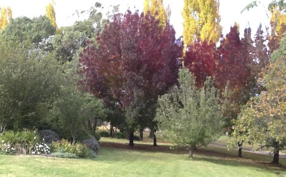 Glen Waverly Farmstay Glen Innes Bilik gambar