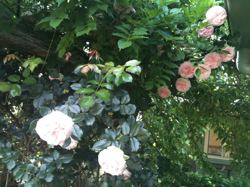 Glen Waverly Farmstay Glen Innes Bilik gambar
