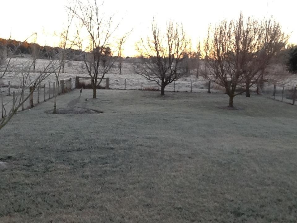 Glen Waverly Farmstay Glen Innes Luaran gambar