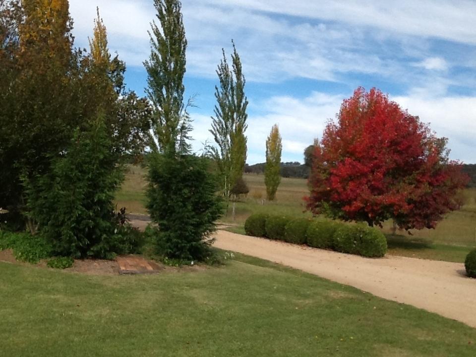Glen Waverly Farmstay Glen Innes Bilik gambar