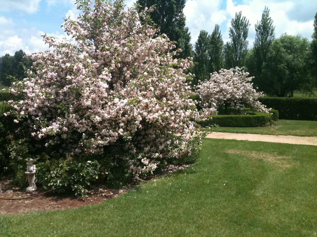 Glen Waverly Farmstay Glen Innes Luaran gambar